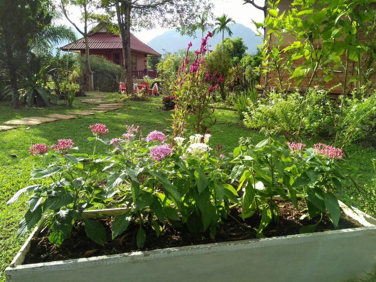 Maesai Doi View Villa Ban Dong Ma Tun Ngoại thất bức ảnh